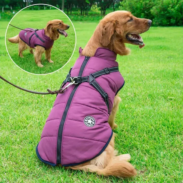 3-In-1-Winterjacke für Hunde – Warm, wasserdicht, winddicht mit integriertem Geschirr