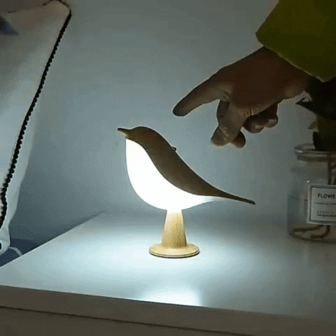 Eine Lampe, die Natur, Licht und Ruhe in Ihr Zuhause bringt