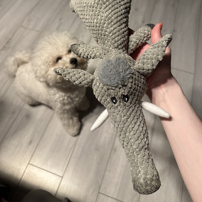Extra starkes Hundespielzeug für aktive Kauer – langlebiges Material, ideal für alle Größen