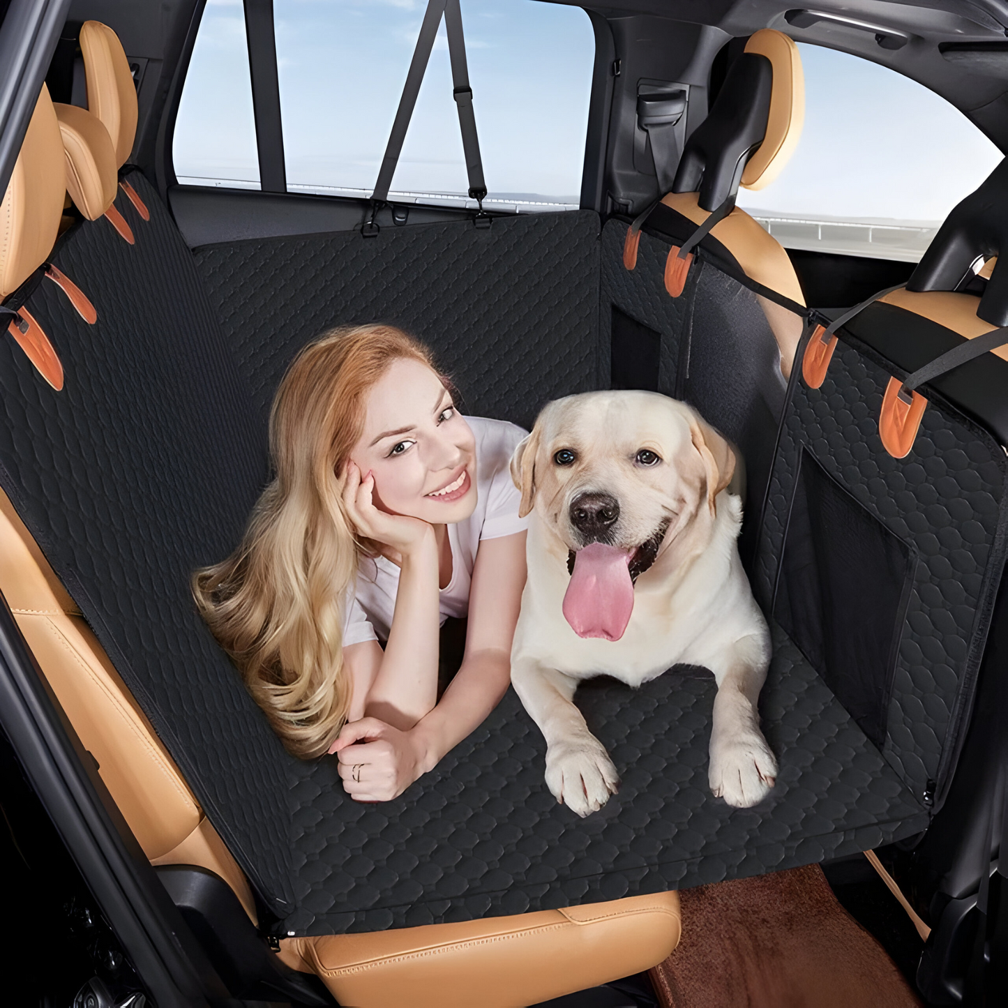 Fester Boden | Ausziehbarer Autositz für Hunde – komfortabel und sicher für Ihren Hund auf Reisen