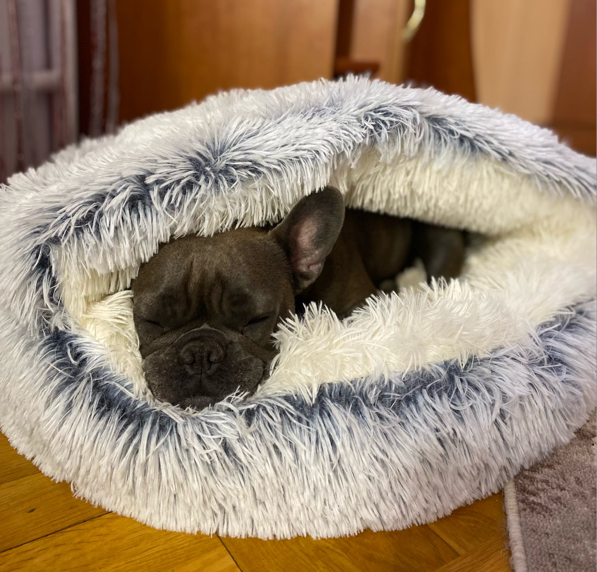 Kuscheliges Hundebett im Höhlenstil mit Antirutschboden – Plüschkissen für Hunde, maschinenwaschbar, verschiedene Größen und Farben