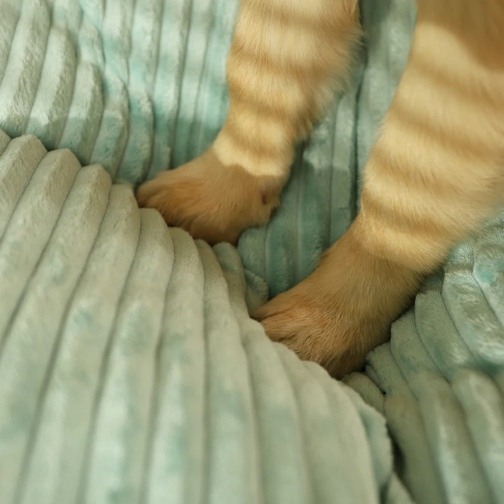 Orthopädisches Hundebett für den Winter