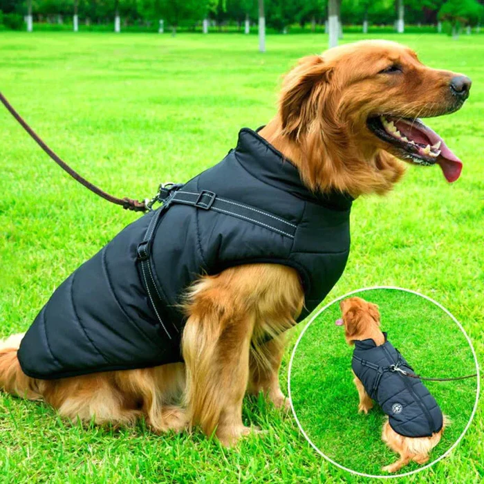Wasserdichte Hunde-Winterjacke - Mit Sherpa-Fleece gefüttert - Integriertes Geschirr - Ideal für die kalten Monate