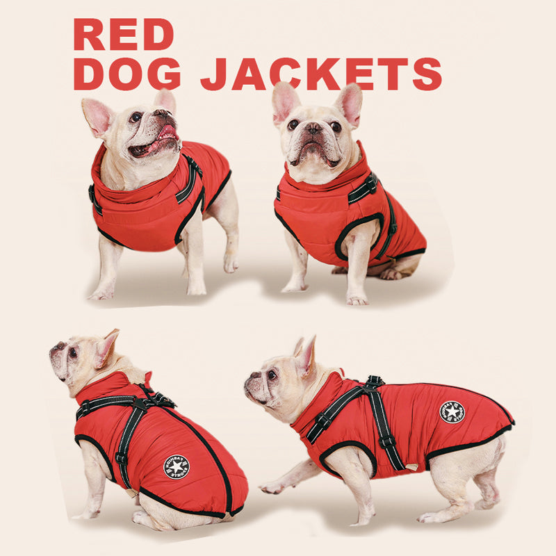 3-In-1-Winterjacke für Hunde – Warm, wasserdicht, winddicht mit integriertem Geschirr
