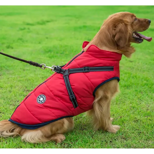 3-In-1-Winterjacke für Hunde – Warm, wasserdicht, winddicht mit integriertem Geschirr