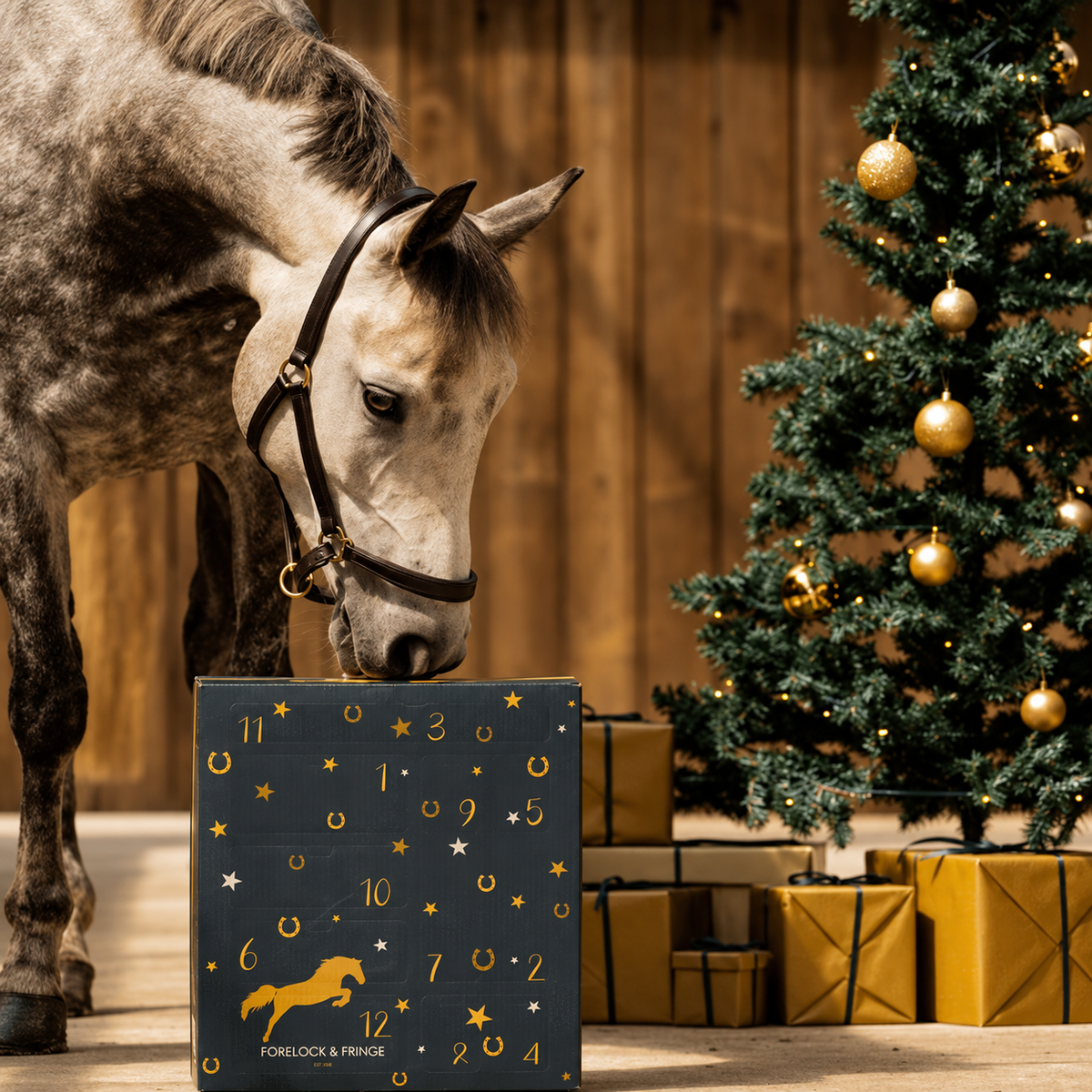 Adventskalender für Pferde 2026