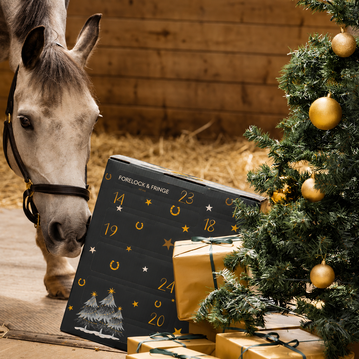 Adventskalender für Pferde 2026