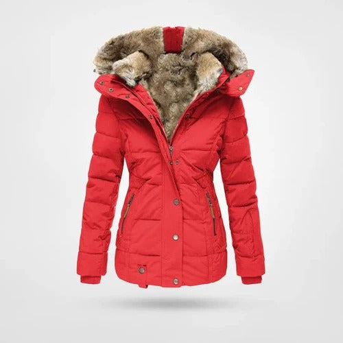 Damen-Steppjacke mit Kapuze