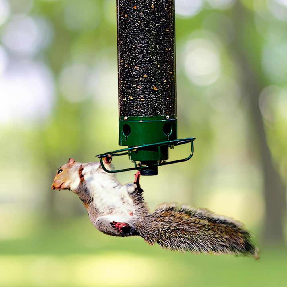 Eichhörnchensichere Röhren-Vogelfutterstation aus Metall zum Aufhängen für Garten und Außenbereich