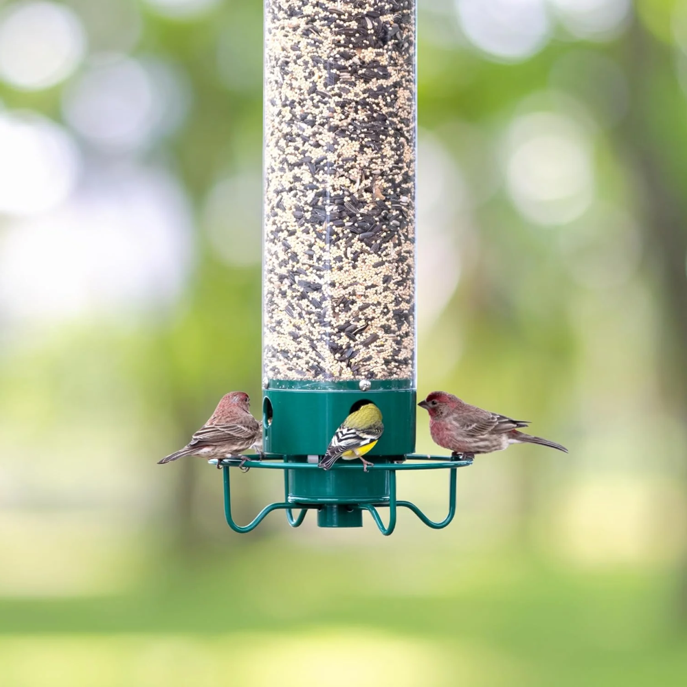 Eichhörnchensichere Röhren-Vogelfutterstation aus Metall zum Aufhängen für Garten und Außenbereich