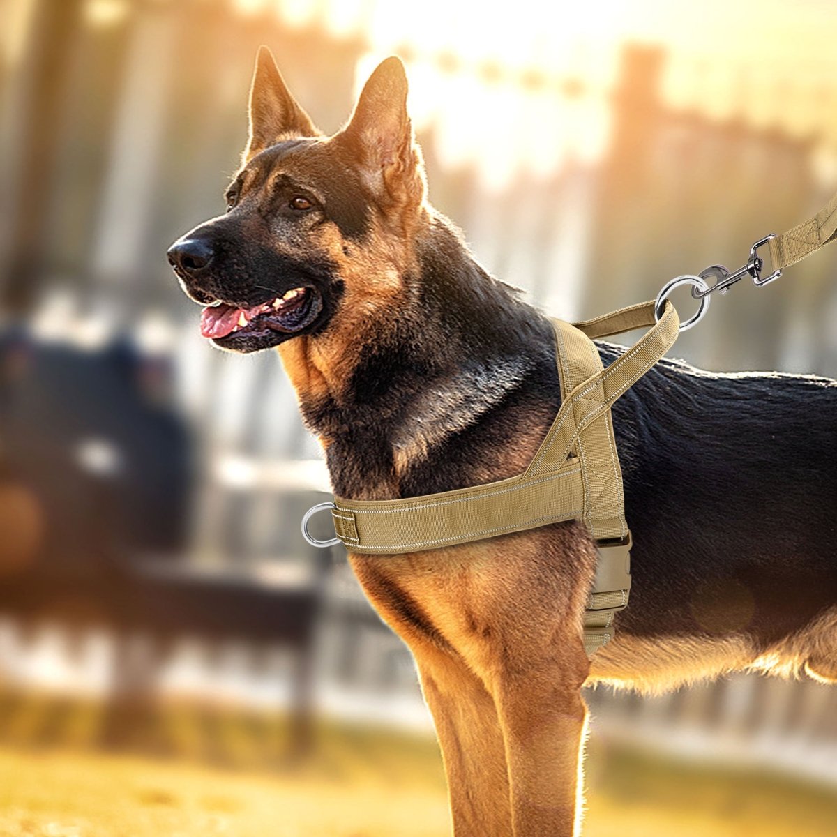 Einstellbares, reflektierendes Brustgeschirr mit Griff für Hunde aller Rassen