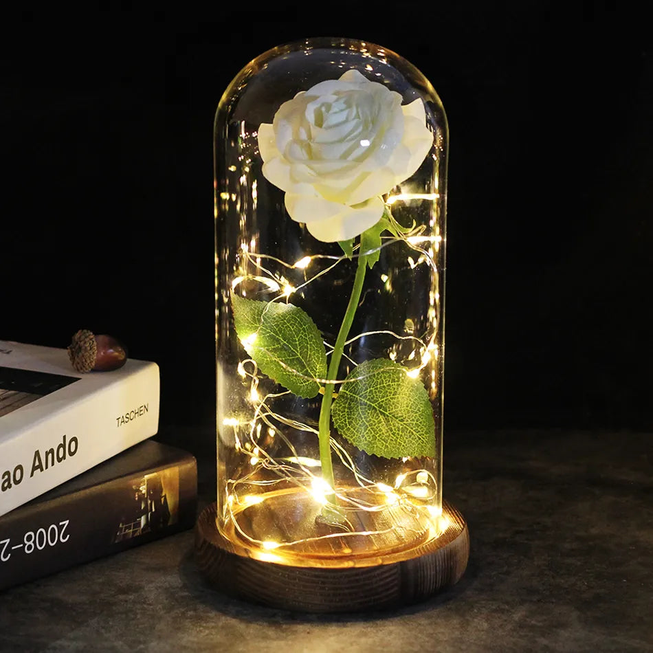 Ewige Rose mit Beleuchtung | Zeitloses Geschenk voller Wärme und Liebe