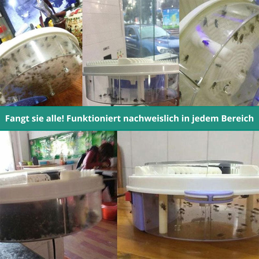 Fliegenfalle (leise)