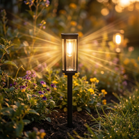 Garten-Solarleuchte