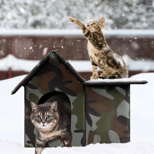 Geräumiges Outdoor-Katzenhaus