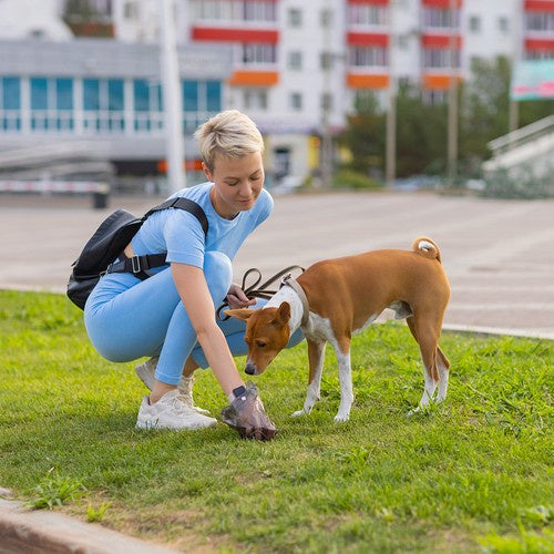 Geruchsneutrale Hundekotbeutel – 1000 Stück, reißfest