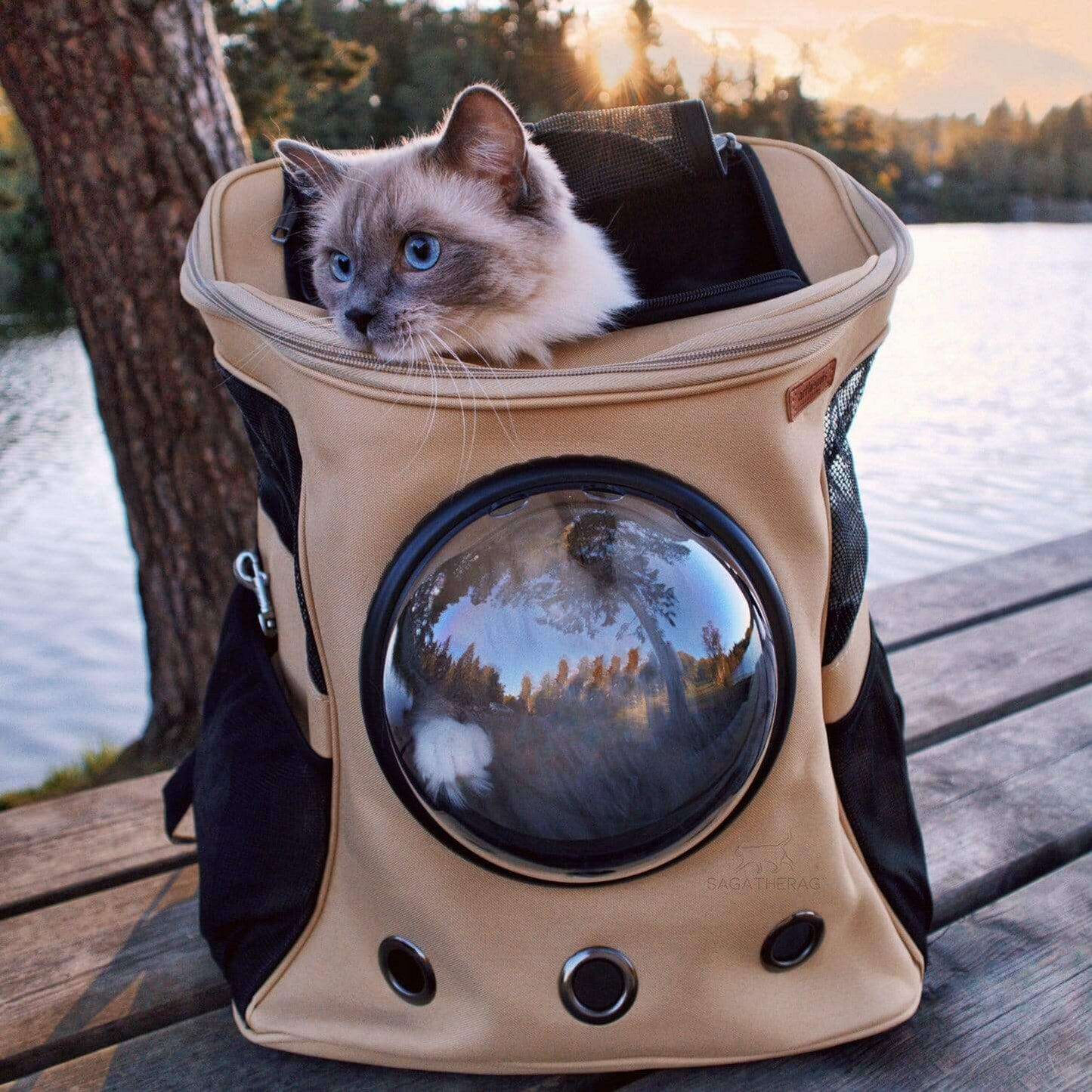 Großer Katzen-Reiserucksack mit Bullauge