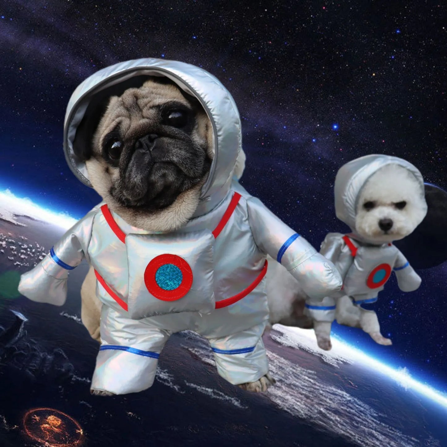 Halloween-Kostüm für Hunde