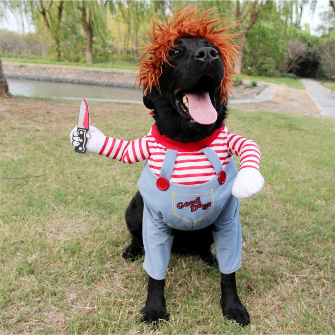 Halloween-Kostüm für Hunde
