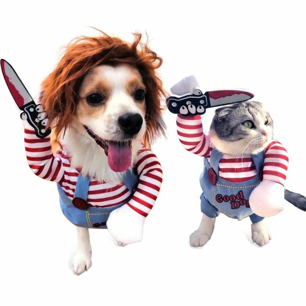 Halloween-Kostüm für Hunde