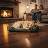 Haustierbett – ergonomisches Design für gesunden Schlaf