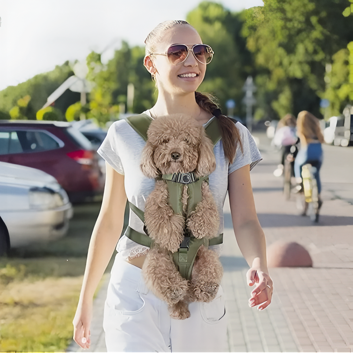 Hunde-Fronttragerucksack zum Wandern