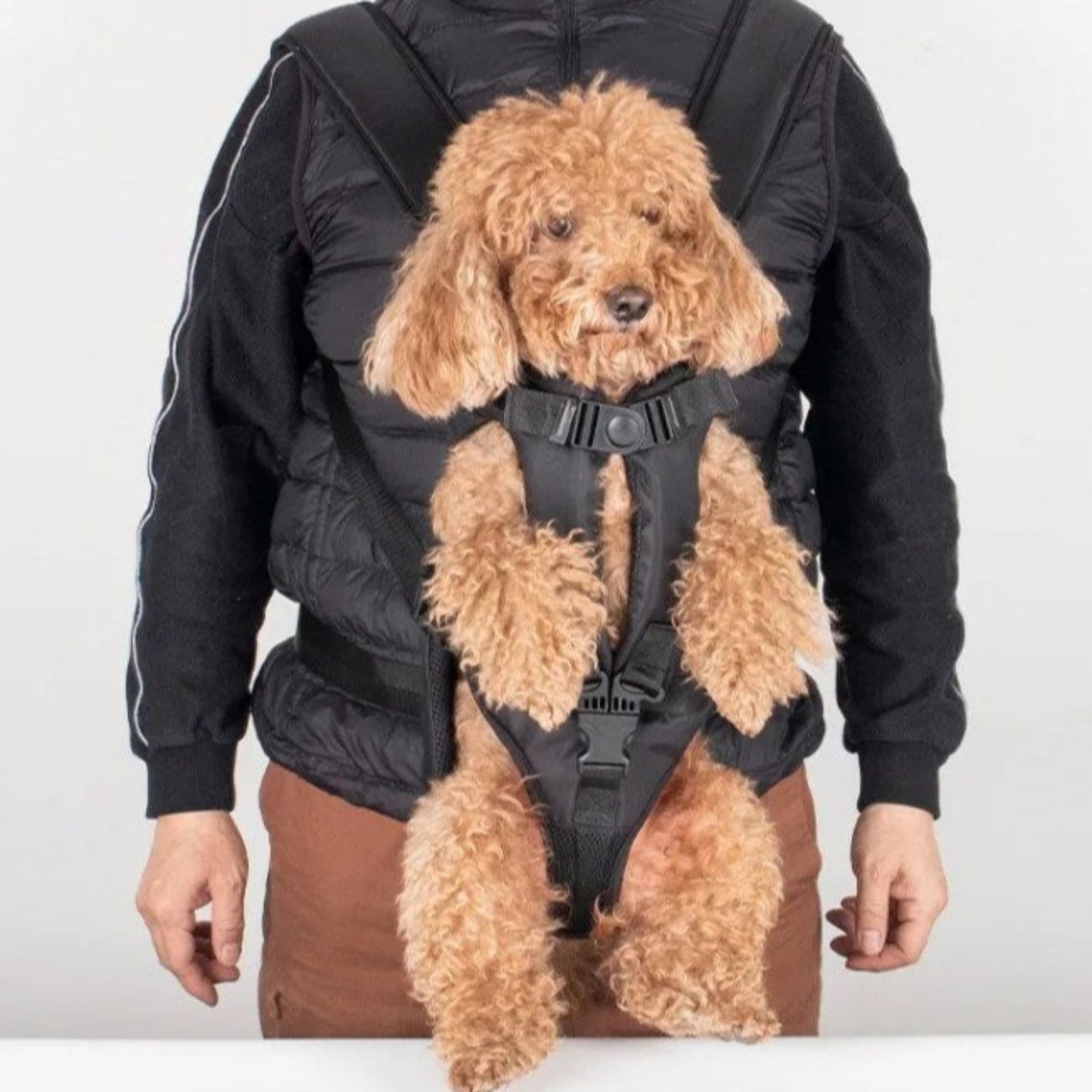 Hunde-Fronttragerucksack zum Wandern