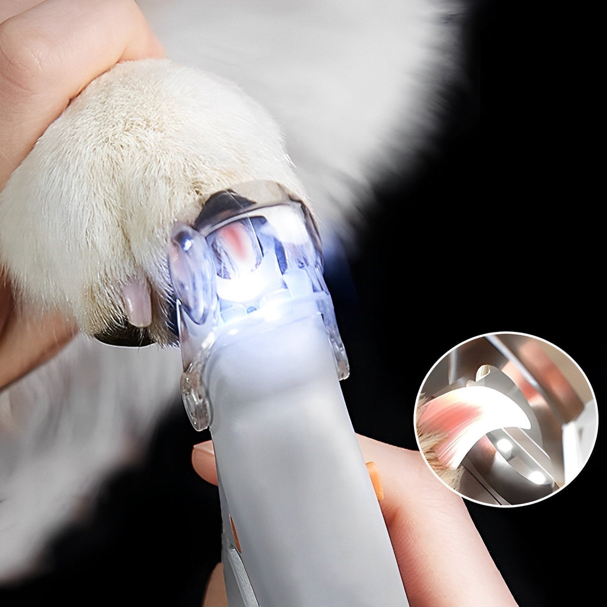 Hundekrallenschere mit LED und 5-facher Vergrößerung – Sichere und leichte Krallenschere mit rutschfestem Griff