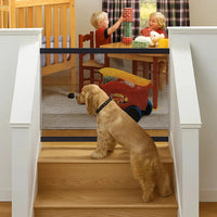 Hundesicherheitsgitter in tragbarem und flexiblem Design