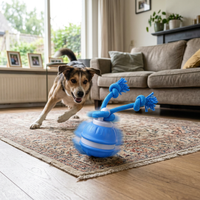 Interaktives Hundespielzeug mit zufälliger Bewegung