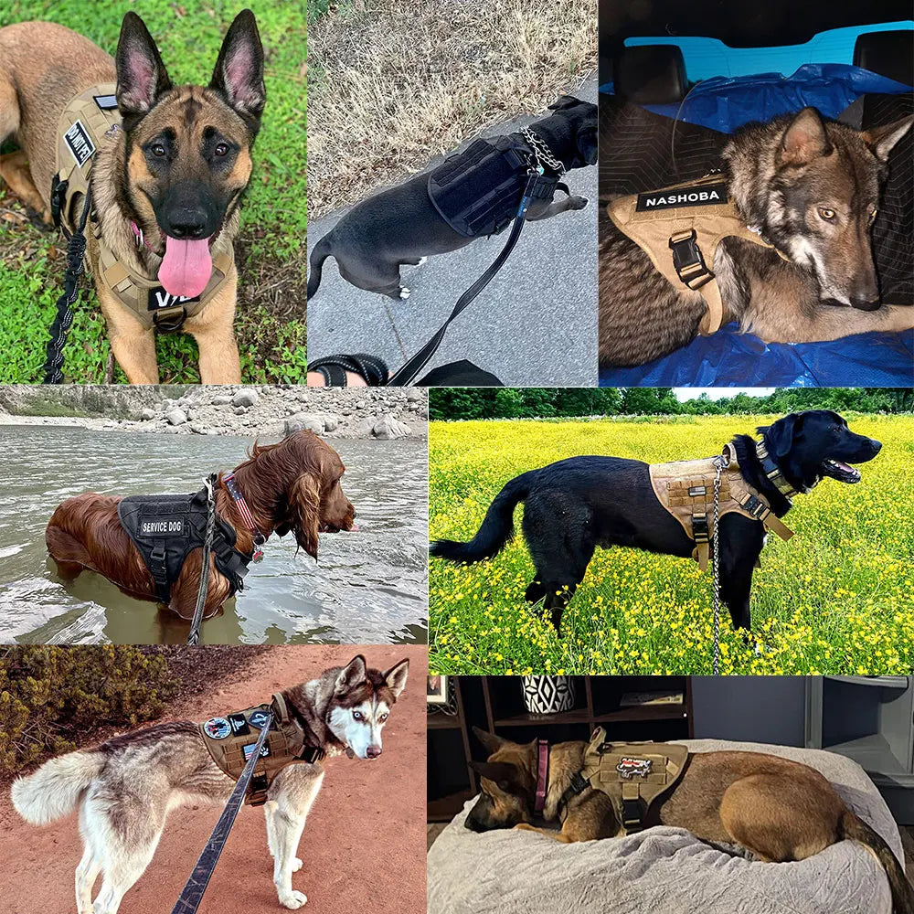 Taktisches K9-Hundegeschirr