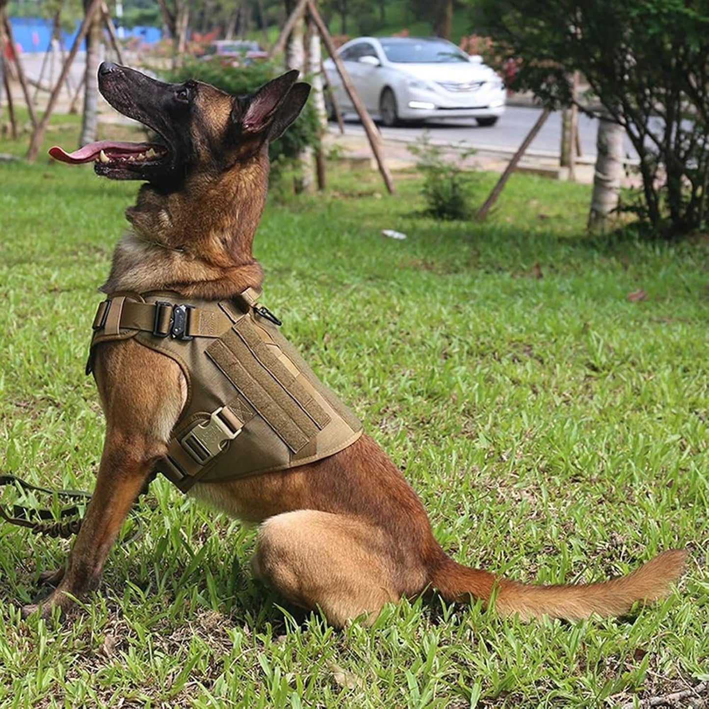 Taktisches K9-Hundegeschirr
