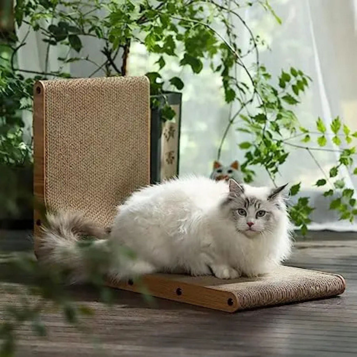 Katzenkratzbrett