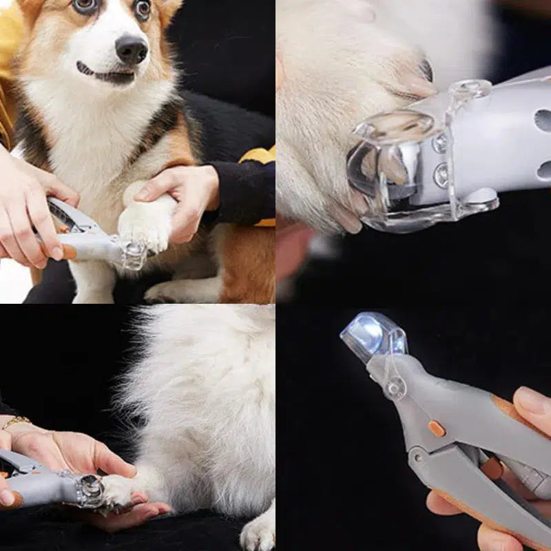 Krallenschneider für Hunde mit Blutgefäß-Sensor