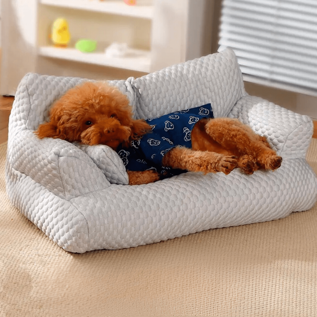 Kühlendes Hundesofa