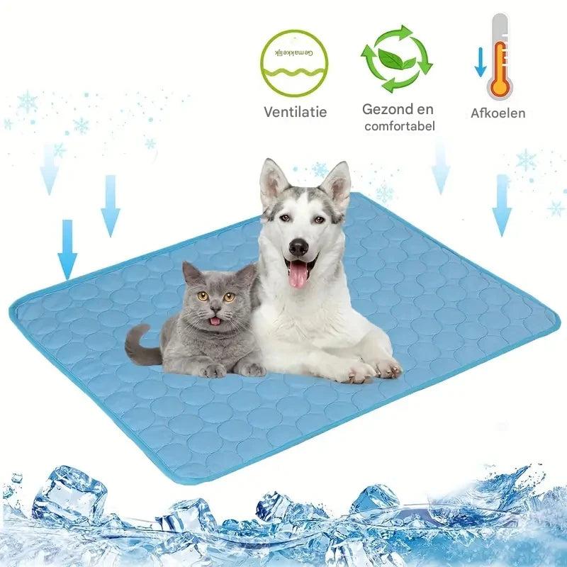 Kühlmatte für Hunde und Katzen