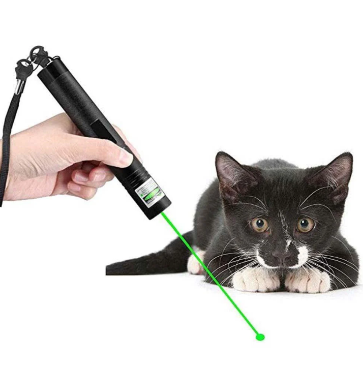 Leistungsstarker Dual-Beam-Laserpointer für präzises Zielen