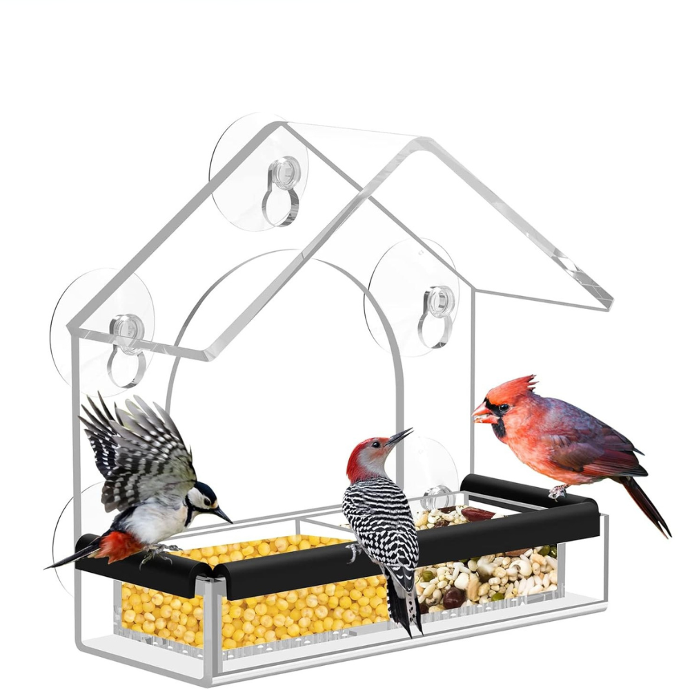 Modernes Acryl-Vogelhaus für das Fenster mit Saugnäpfen – ideal zur Tierbeobachtung, leicht zu reinigen, 18 x 12,5 cm