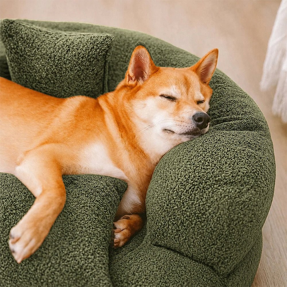 Orthopädisches Donut-Hundebett aus Diamond-Samt