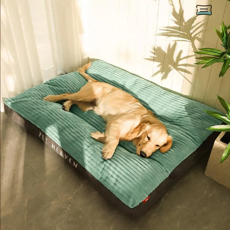 Orthopädisches Hundebett für den Winter