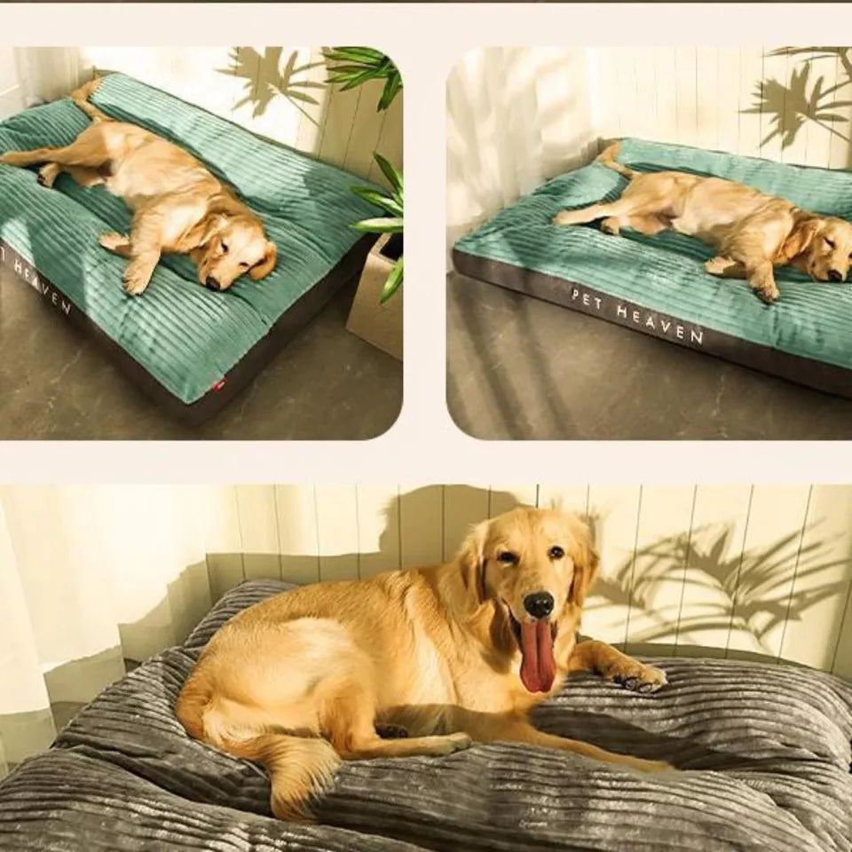 Orthopädisches Hundebett für den Winter