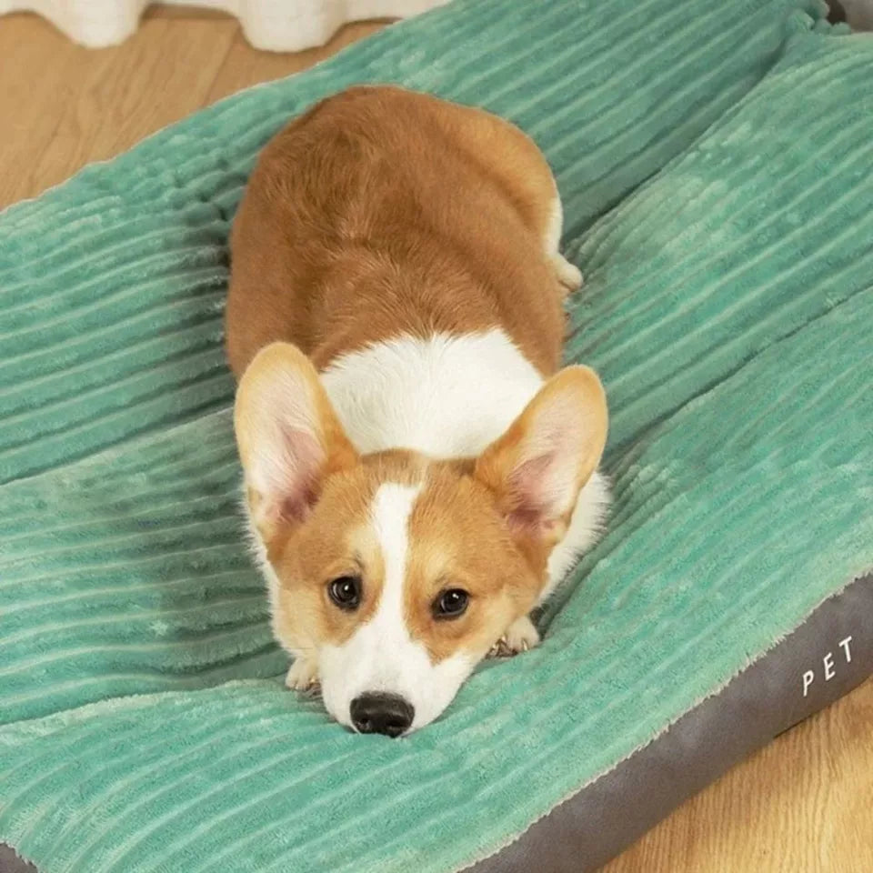 Orthopädisches Hundebett für den Winter