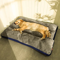 Orthopädisches Hundekissen – warm und bequem