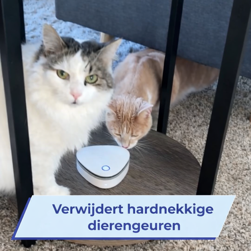 Luftneutralisierer Pro