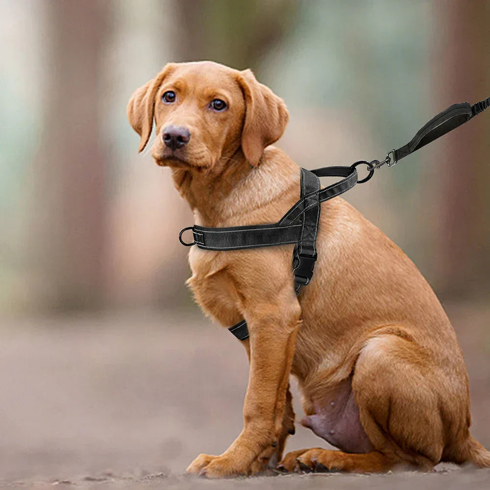 Reflektierendes No-Pull-Hundegeschirr