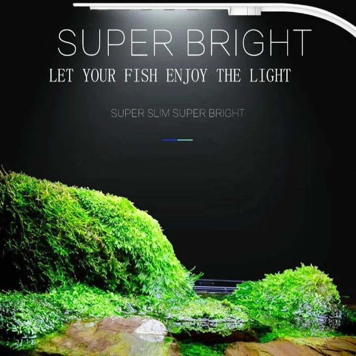 Schlanke LED-Leuchte für Wasserpflanzen und Aquarien