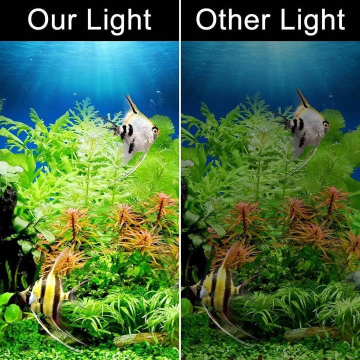 Schlanke LED-Leuchte für Wasserpflanzen und Aquarien