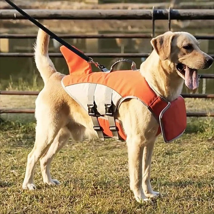 Schwimmweste für Hunde mit Auftriebshilfe