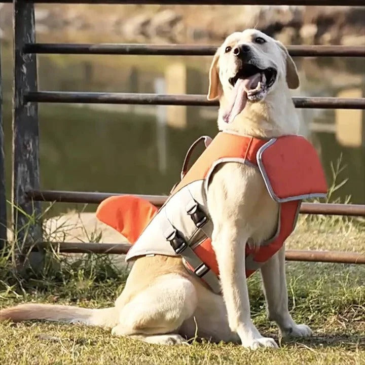 Schwimmweste für Hunde mit Auftriebshilfe