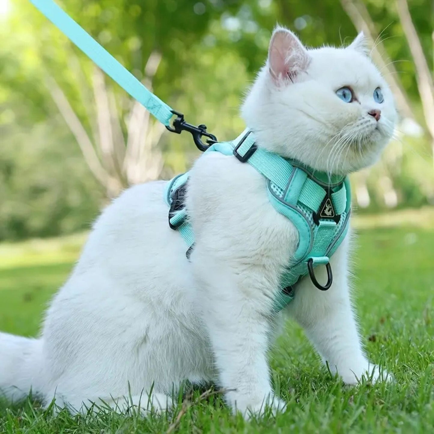Ausbruchsichere Katzengeschirr-Weste